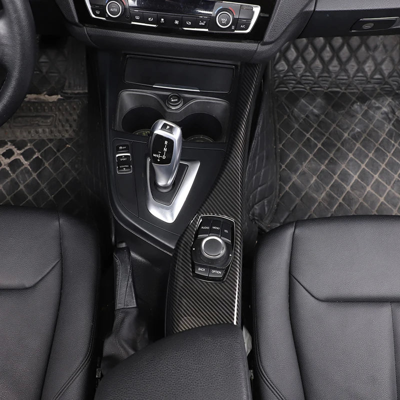 Carbon Fiber Multimedia Panel For F2X